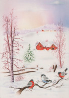 VOGEL Tier Vintage Ansichtskarte Postkarte CPSM #PAM857.DE - Birds