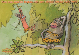 SCIMMIA Animale Vintage Cartolina CPSM #PBS023.IT - Monkeys