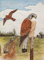 UCCELLO Animale Vintage Cartolina CPSM #PBR484.IT - Birds