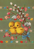 PASQUA POLLO UOVO Vintage Cartolina CPSM #PBO722.IT - Ostern