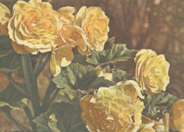 FLORES Vintage Tarjeta Postal CPSM #PAR424.ES - Flowers