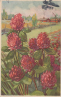 FLOWERS Vintage Ansichtskarte Postkarte CPSMPF #PKG032.DE - Blumen