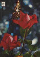 SCHMETTERLINGE Vintage Ansichtskarte Postkarte CPSM #PBZ918.DE - Butterflies