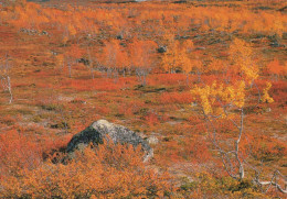 FLOWERS Vintage Ansichtskarte Postkarte CPSM #PBZ013.DE - Flowers