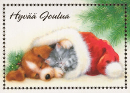 KATZE MIEZEKATZE Tier Vintage Ansichtskarte Postkarte CPSM #PBQ891.DE - Cats