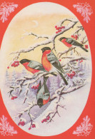 Neujahr Weihnachten VOGEL Vintage Ansichtskarte Postkarte CPSM #PBM778.DE - Nieuwjaar