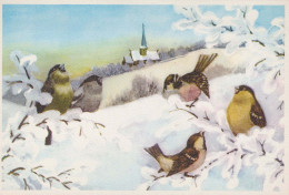 Neujahr Weihnachten VOGEL Vintage Ansichtskarte Postkarte CPSM #PBM652.DE - Nieuwjaar