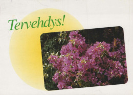 FLEURS Vintage Carte Postale CPSM #PAR665.FR - Flowers