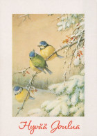 OISEAU Animaux Vintage Carte Postale CPSM #PAM856.FR - Vogels