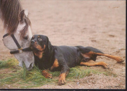 PERRO Animales Vintage Tarjeta Postal CPSM #PBQ498.ES - Honden