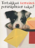 PERRO Animales Vintage Tarjeta Postal CPSM #PBQ364.ES - Honden