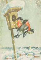 Bonne Année Noël OISEAU Vintage Carte Postale CPSM #PBM651.FR - Nouvel An