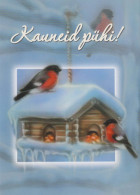 Bonne Année Noël OISEAU Vintage Carte Postale CPSM Unposted #PBA595.FR - Nouvel An