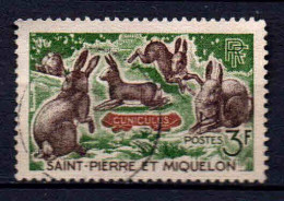 St Pierre Et Miquelon  - 1964 -  Lapins - N° 372  - Oblit - Used - Usati