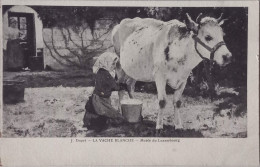 CPA  Non Circulée , Paris, Musée Du Luxembourg -  La Vache Blanche   (195) - Musei