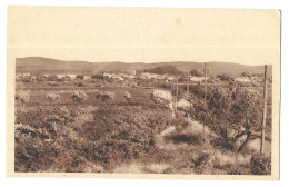 Canet, Vue Générale (A17p89) - Andere & Zonder Classificatie