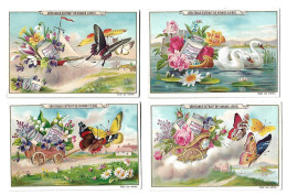 S 380, Liebig 6 Cards, Fleurs, Oiseaux Et Papillons  (ref B6) - Liebig