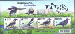 2024. Belarus, Birds Of Belarus, Crows, S/s, Mint/** - Wit-Rusland