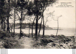 D22  PERROS GUIREC  La Plage De Trestraou Vue à Travers Le Pins - Perros-Guirec