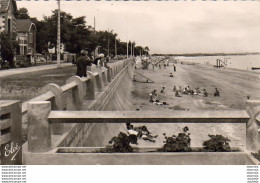 D17  ILE D'OLERON  SAINT TROJAN  Sa Magnifique Petite Plage - Ile D'Oléron