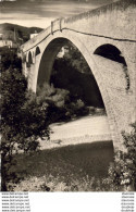 D66  CERET  Le Pont Du Diable - Ceret