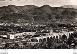 D66  CERET  Vue Générale - Ceret