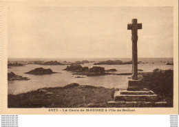 D22  ILE DE BREHAT  - La Croix De Maudez - Ile De Bréhat