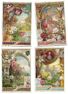 S 379, Liebig 6 Cards, Fleurs Symboliques (ref B6) - Liebig