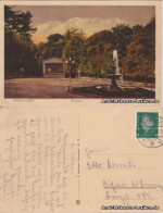 Ansichtskarte Nordhausen Partie Am Gehege 1930  - Nordhausen