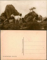 CPA .Frankreich Vosges Barren Kapf - Ziegen Gemse 1913 - Autres & Non Classés