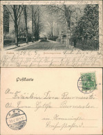 Ansichtskarte Itzehoe Breitenburgerstrasse Im Winter 1905 - Other & Unclassified