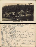 Postcard Sao Paulo Serra Da Cantareira - Brasil Basil 1931 - Otros & Sin Clasificación