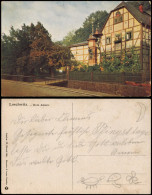 Ansichtskarte Loschwitz-Dresden Loschwitz. Rote Amsel. Naturfarben 1926 - Dresden