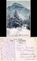 Ansichtskarte Arosa Winterpartie Am Schiesshorn 1907 - Other & Unclassified