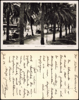 Postales Alicante Paseo De Gomis - Spanien 1935 - Sonstige & Ohne Zuordnung