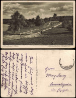 Ansichtskarte .Niedersachsen Landschaft Bei Buchholz 1934 - Lüneburger Heide