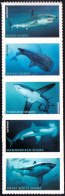 UNITED STATES 2017 SHARKS STRIP OF 5** - Fishes
