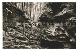 72096253 Zwingenberg Baden Neckar Wolfsschlucht Zwingenberg Baden Neckar - Sonstige & Ohne Zuordnung