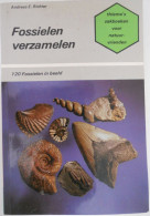 FOSSIELEN VERZAMELEN Door Andreas Richter 120 In Beeld Fossiel / Thieme Zutphen Natuuur - Sonstige & Ohne Zuordnung