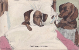 Dackel Teckel Bassotto   Dachshund Dog  (  Edmond Bruning ) - Honden