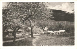 72095520 Waldkatzenbach Partie Am Hoellgrund Waldbrunn - Sonstige & Ohne Zuordnung