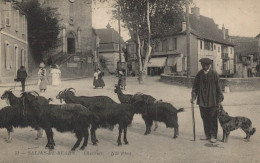 64 SALIER DE BEARN CHEVRIER CPA BON ETAT - Salies De Bearn