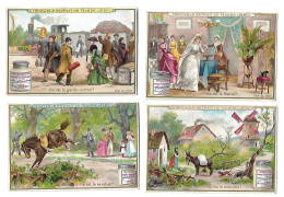 S 348, Liebig 6 Cards, Images à Chercher (spots Backsides)  (ref B6) - Liebig