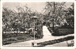 72095104 Schneidhain Taunus Gaststaette Paul Rothenbaecher Garten Schneidhain Ta - Koenigstein