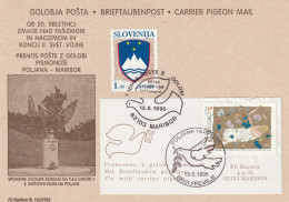 SLOVENIA 1995 - 50. END II WORLD WAR. POST FLY WITH PIGEON / VIAGGIATA CON PICCIONE. SPECIAL CANCEL MARIBOR PREVALJE - Slovénie