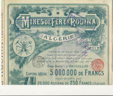 TITRE  - ACTION  MINES DE FER  DE ROUINA ALGERIE  1929     BRUXELLES      8 COUPONS - Mineral