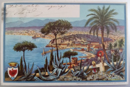 SOUVENIR DE NICE COLORES 1909 - Panoramic Views