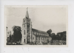 Veauville Les Baons :  L'église, Champs Vache (ed Delamare) - Other & Unclassified