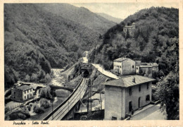 PRACCHIA - SETTE PONTI -  13-7- 1950 - Pistoia