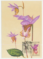 Maximum Card Soviet Union 1991 Orchid - Sonstige & Ohne Zuordnung